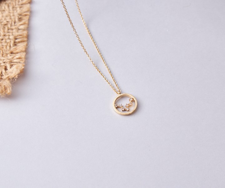 星座項鍊♥雙魚座1入